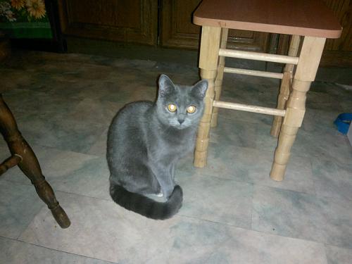     
: 01022012069.jpg
: 2177
:	512.2 
ID:	25447