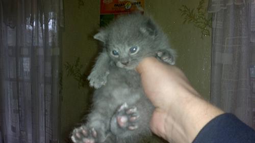     
: 050120131978.jpg
: 2254
:	363.9 
ID:	25449
