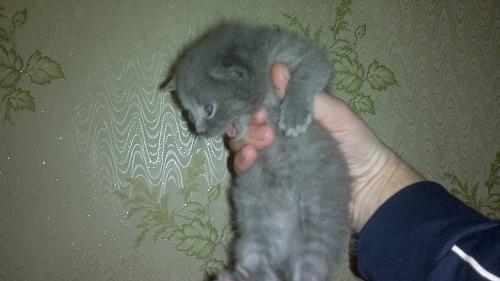     
: 050120131984.jpg
: 2213
:	465.3 
ID:	25450