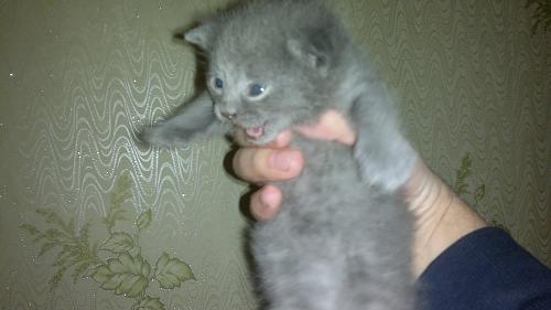     
: 050120131985.jpg
: 2182
:	436.6 
ID:	25451