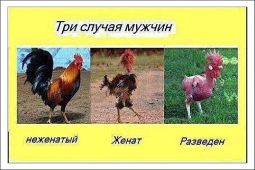 : 1.jpg
: 1022

: 43.4 